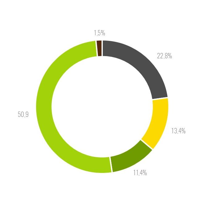 Kreisdiagram Kreisdiagram mit unterschiedlichen Prozentanteilen